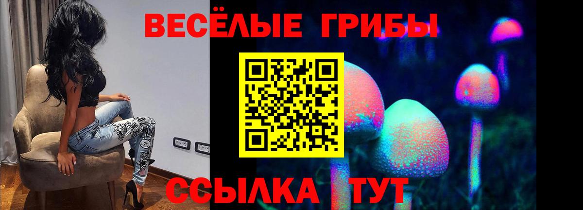 Березники  Псилоцибиновые грибы Cubensis  Вход с VPN 